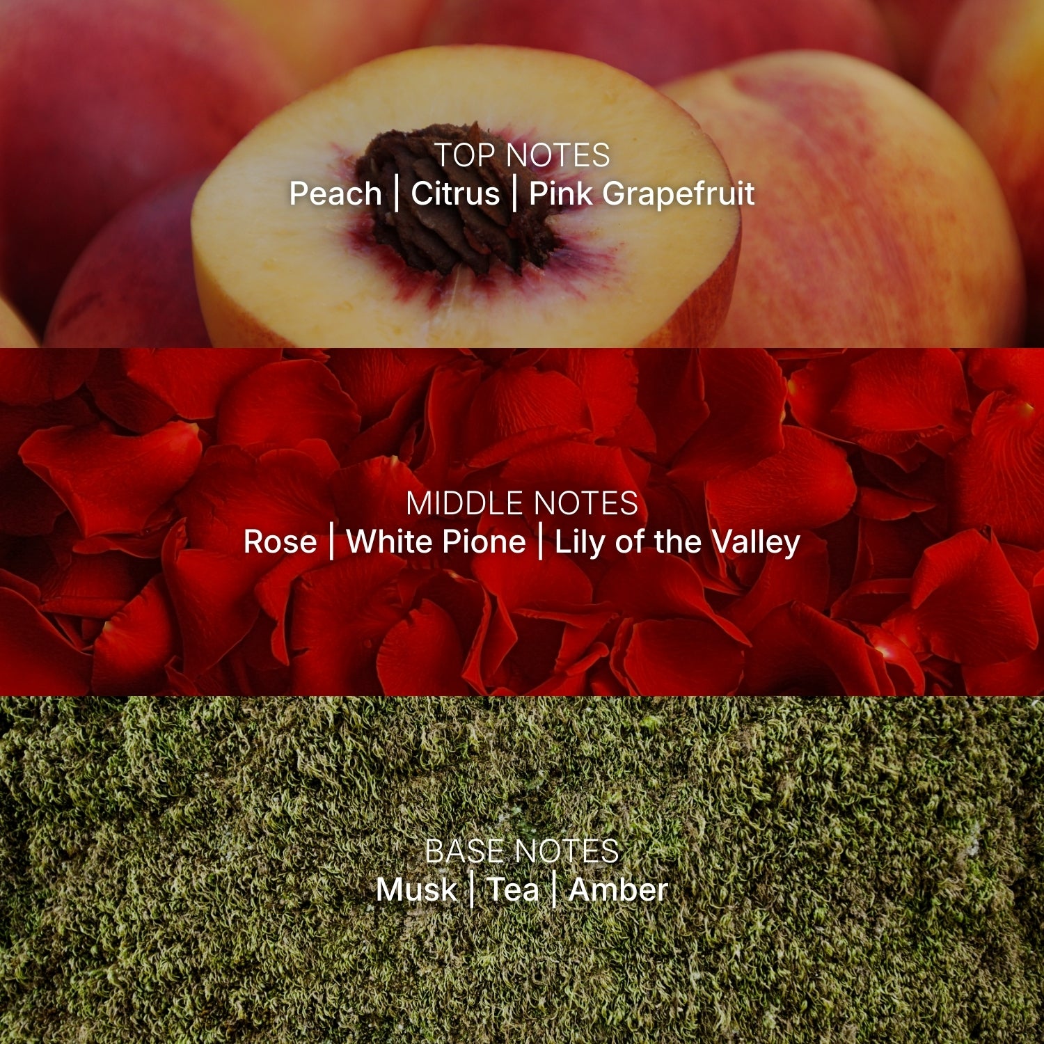 5-Star Hotel No. 2 inspired by Carlton