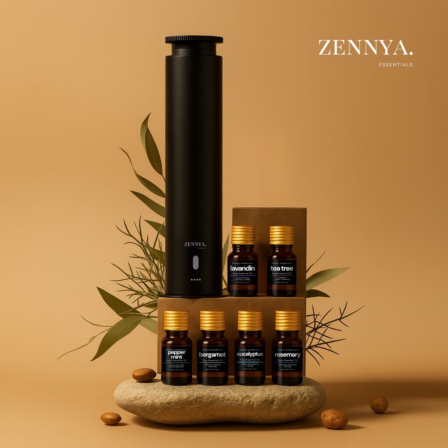 Zennya® Discovery Bundle