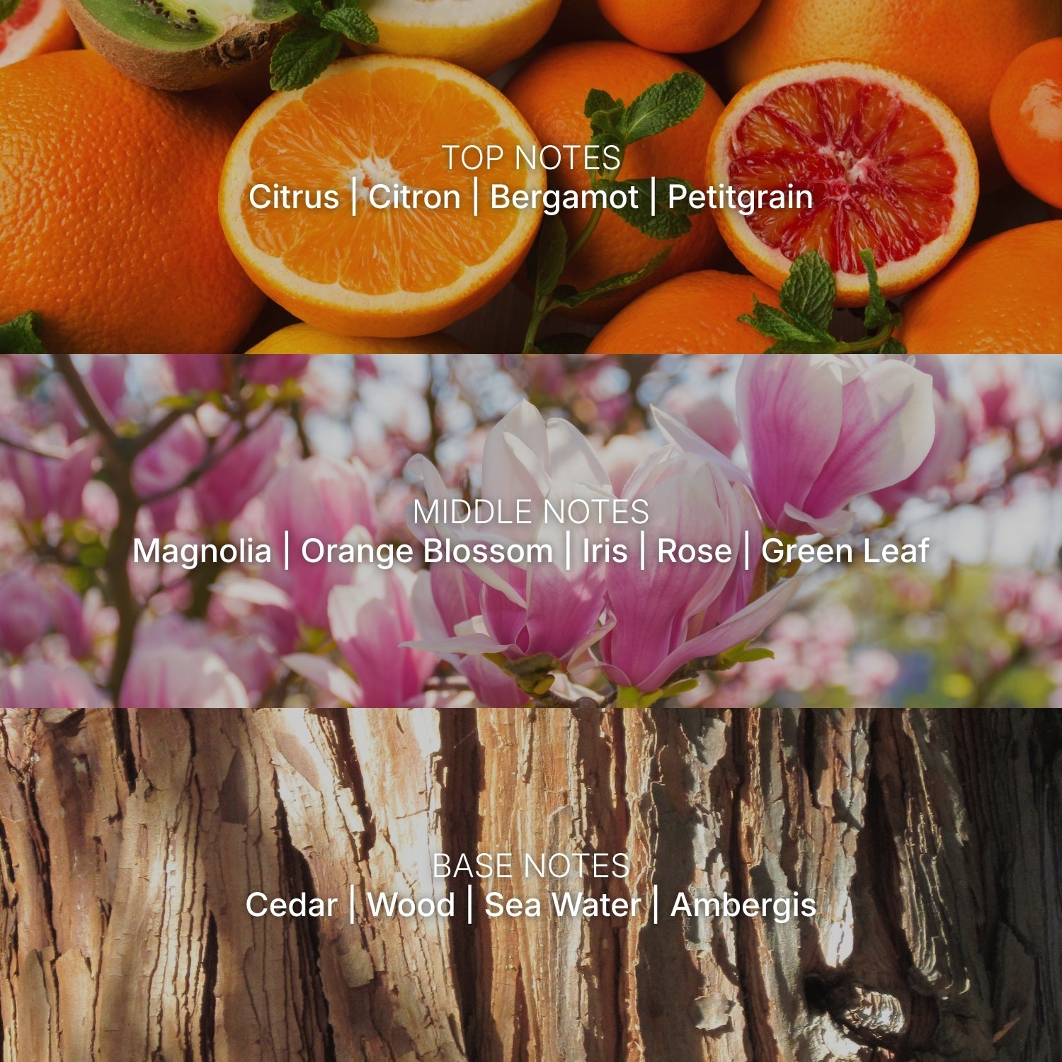 5-Star Hotel No. 1 inspired by Shangrila