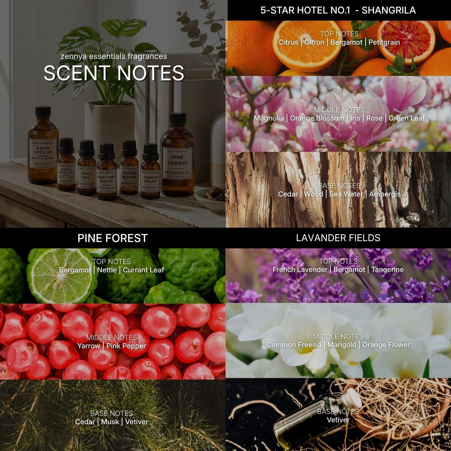 zennya Fragrances Complete Set | Free Halo Diffuser