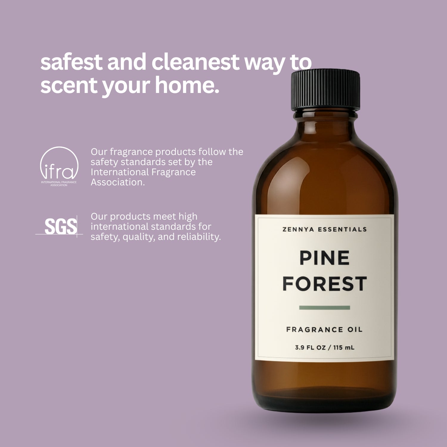 Pine Forest
