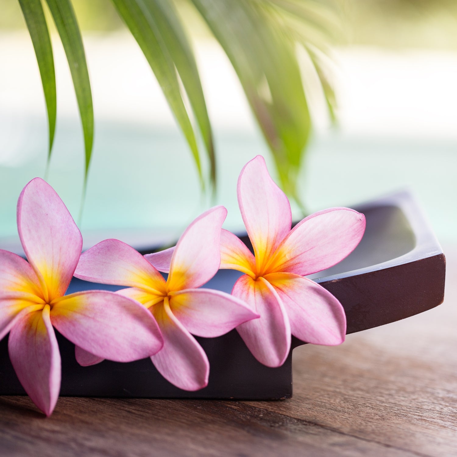 Bali Spa Fragrance