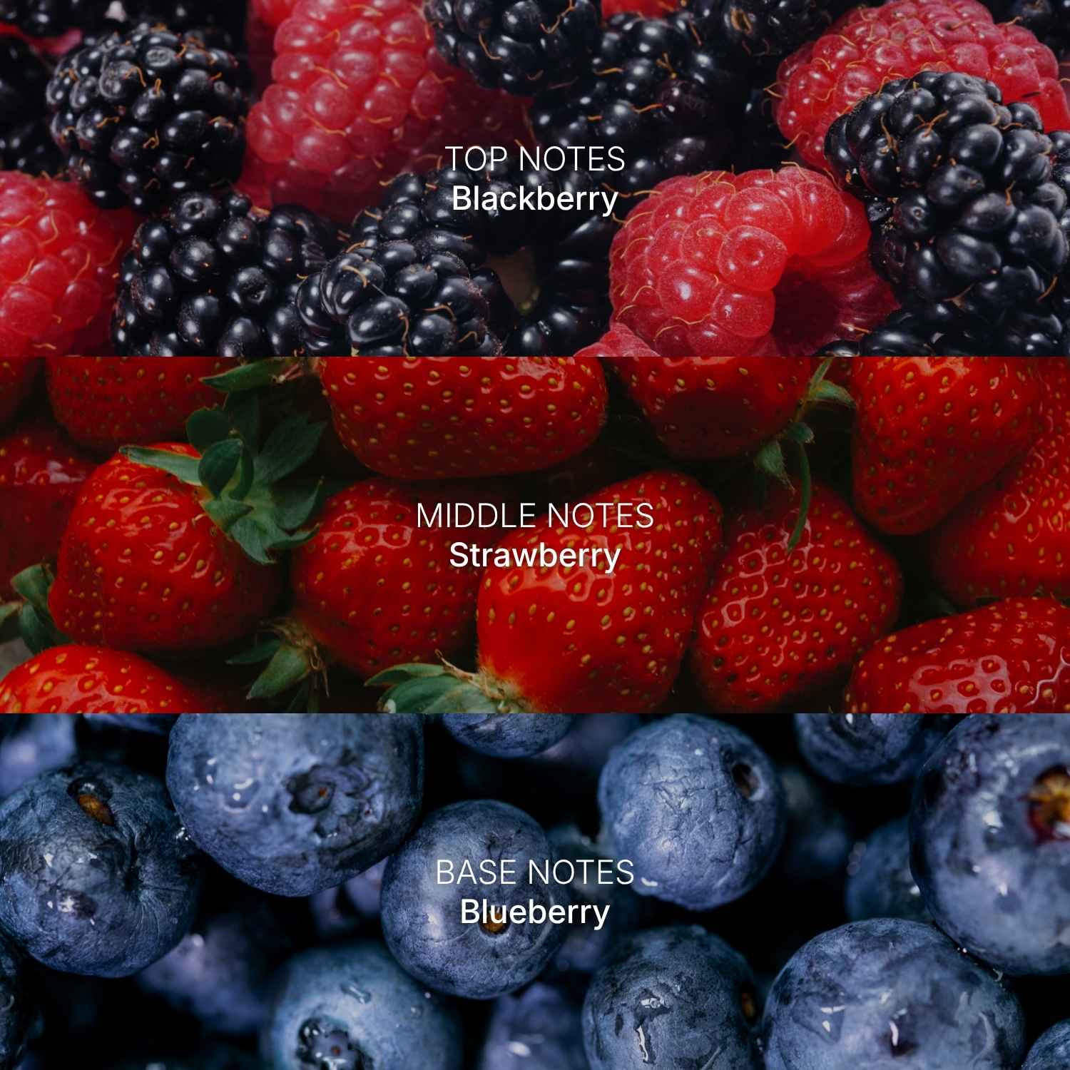 Pet Berry