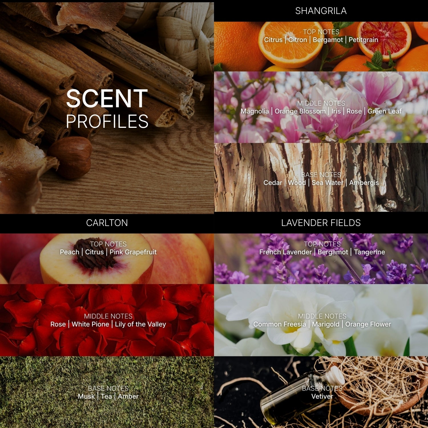 zennya Fragrances Discovery Set