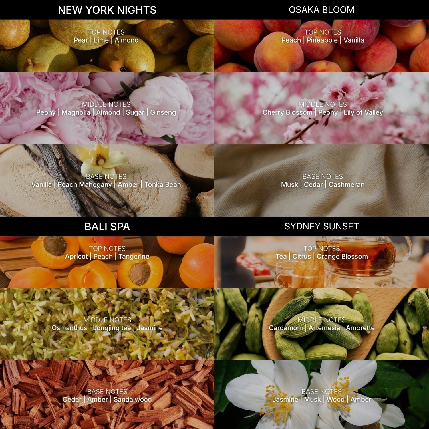 zennya Fragrances Complete Set | Free Halo Diffuser
