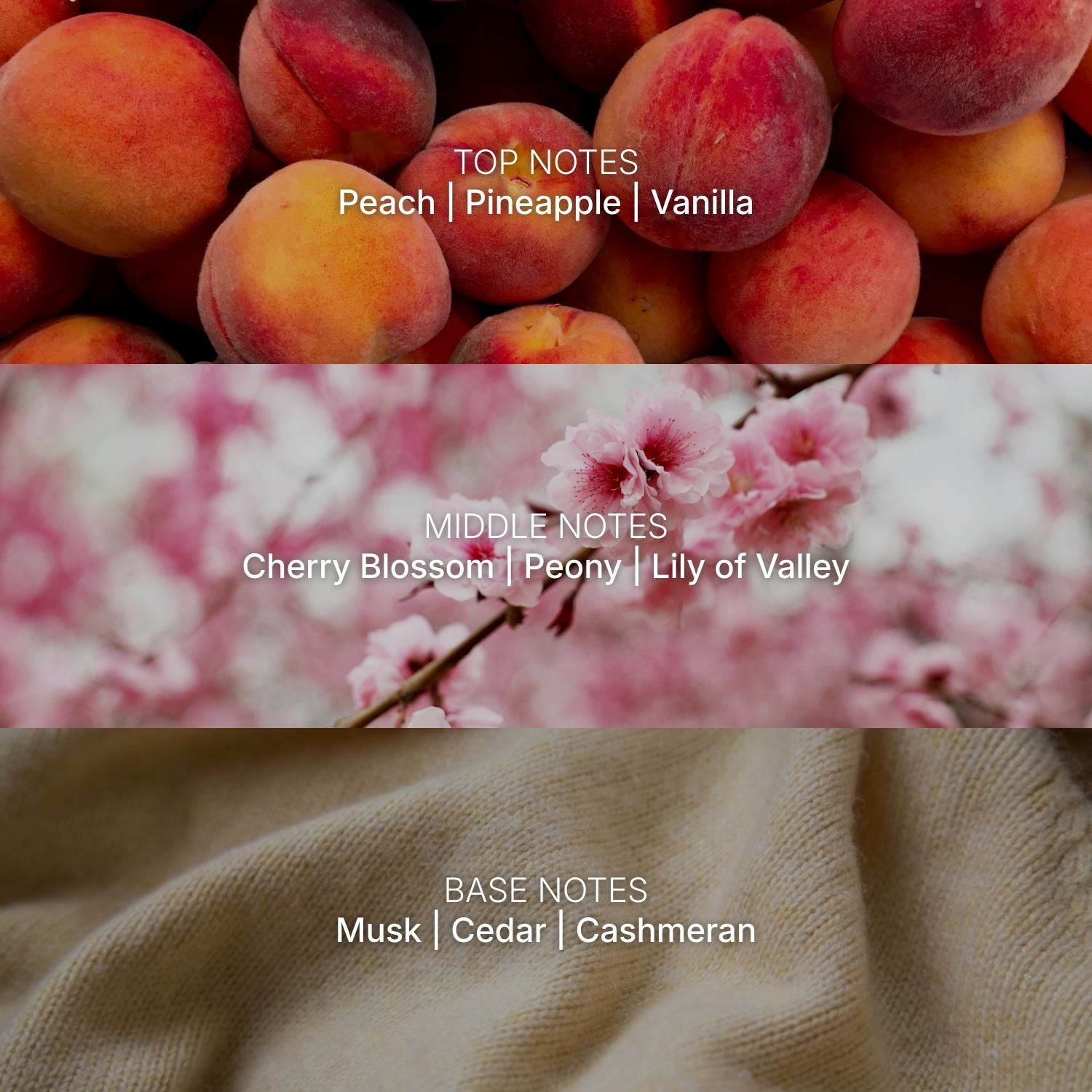 Sweet Kiss | Seasonal Scent