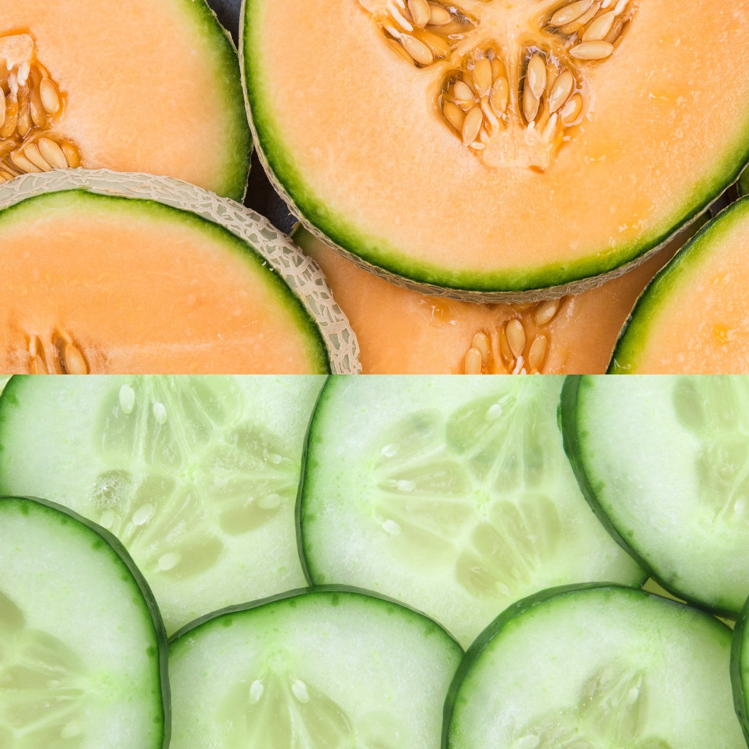 Cucumber Melon